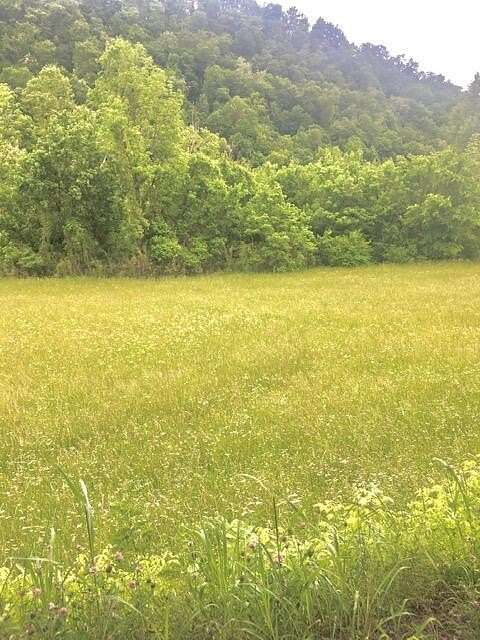 9.66 Acres of Residential Land for Sale in Tazewell, Tennessee