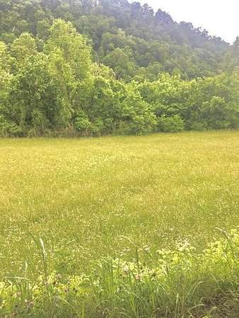 9.66 Acres of Residential Land for Sale in Tazewell, Tennessee
