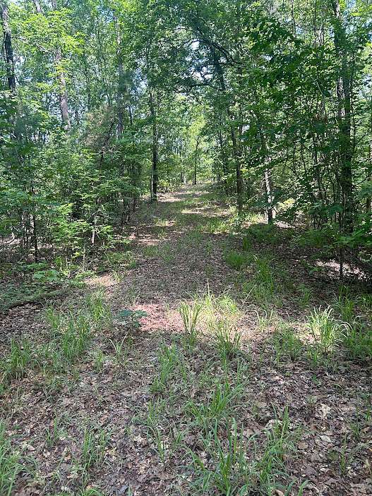 15 Acres of Recreational Land & Farm for Sale in Tuscaloosa, Alabama