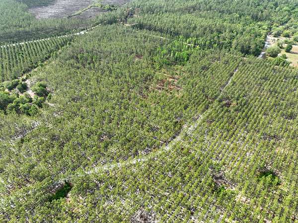 11.4 Acres of Recreational Land for Sale in Folkston, Georgia
