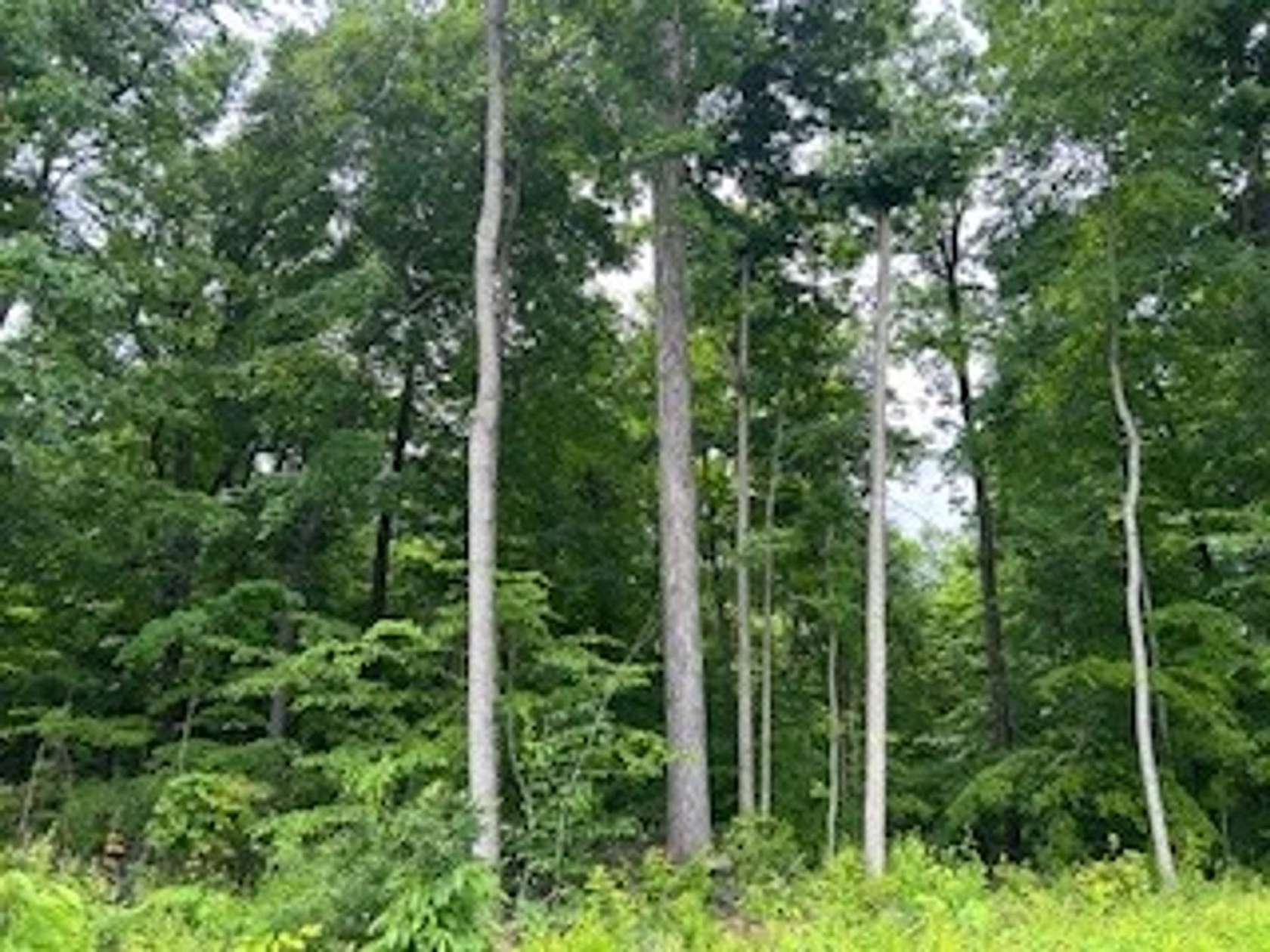 9 Acres of Recreational Land for Sale in Reelsville, Indiana