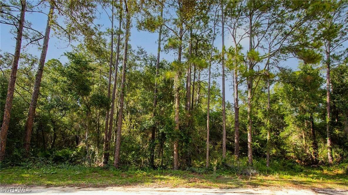 1.13 Acres of Residential Land for Sale in Webster, Florida