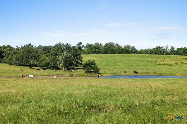 166 Acres of Recreational Land & Farm for Sale in Cameron, Texas