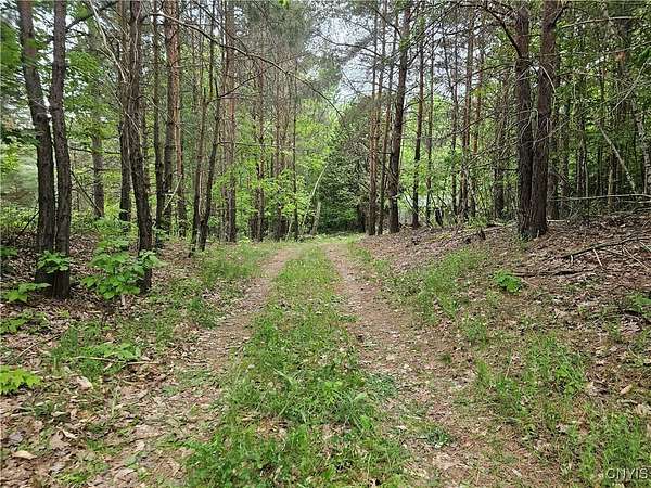 35.8 Acres of Improved Recreational Land for Sale in Hopkinton, New York