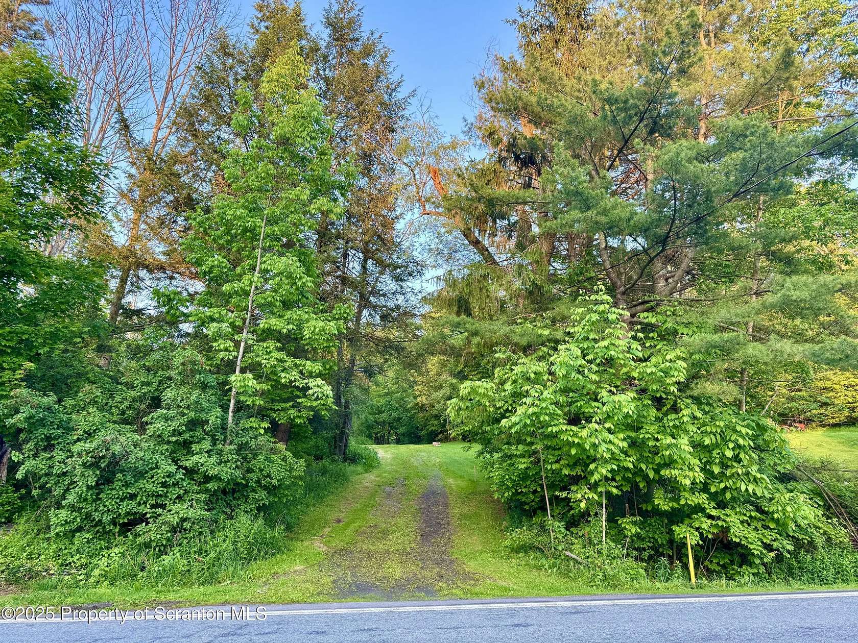 91.8 Acres of Recreational Land for Sale in Susquehanna, Pennsylvania