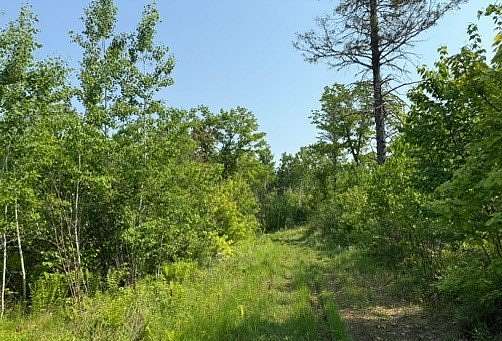 200 Acres of Recreational Land for Sale in Dairyland, Wisconsin