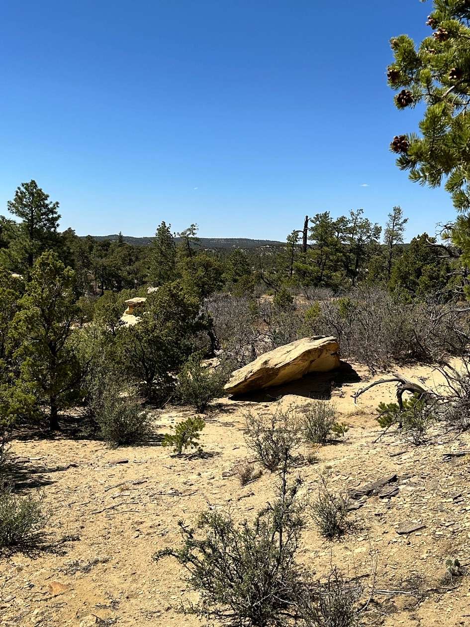 31.5 Acres of Recreational & Residential Land for Sale in Pie Town, New Mexico