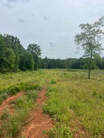 52 Acres of Land for Sale in Plain Dealing, Louisiana