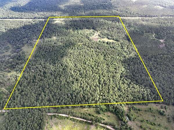 150 Acres of Recreational Land for Sale in Huntsville, Texas