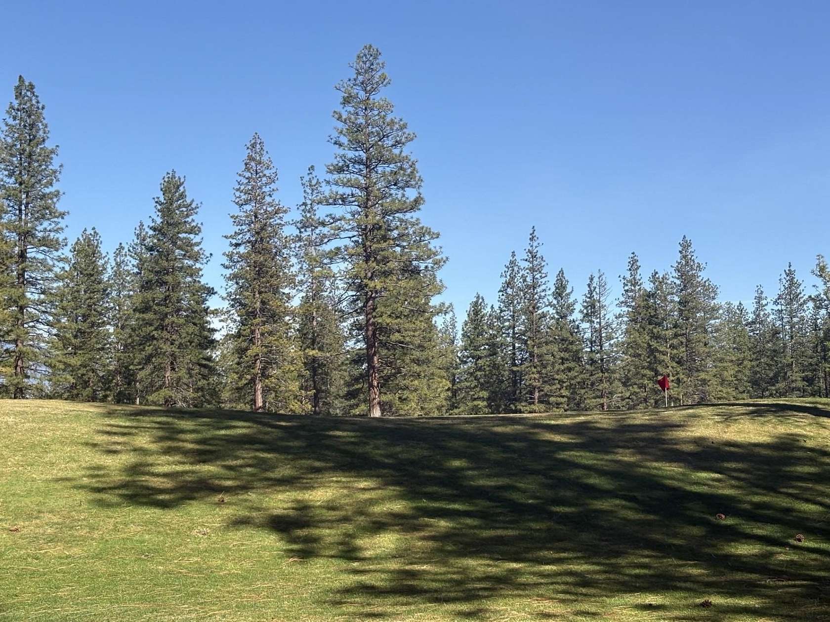 0.6 Acres of Residential Land for Sale in Weed, California