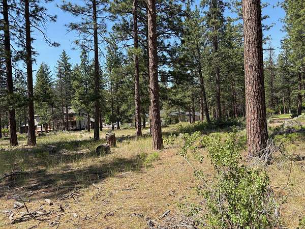 0.6 Acres of Residential Land for Sale in Weed, California