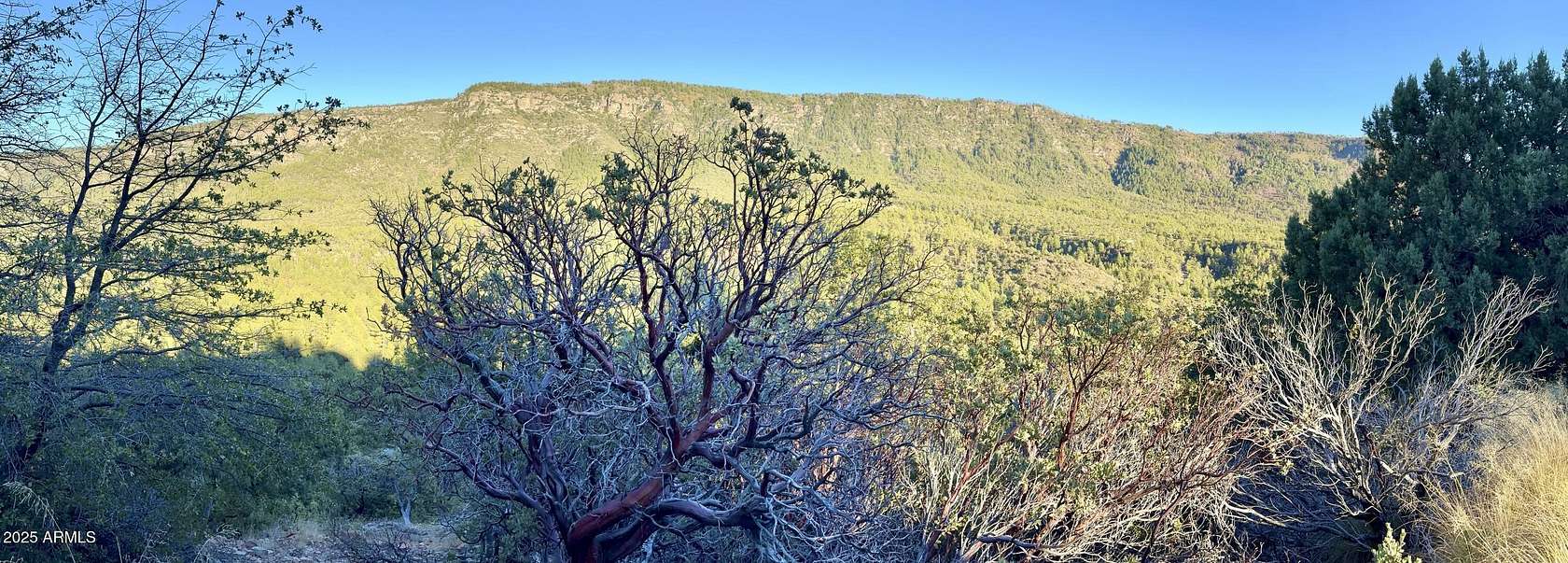 0.39 Acres of Residential Land for Sale in Pine, Arizona