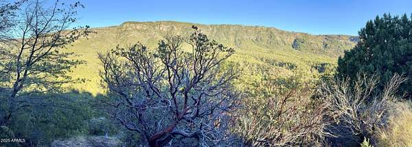 0.39 Acres of Residential Land for Sale in Pine, Arizona