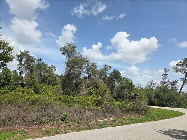 0.29 Acres of Residential Land for Sale in Ocala, Florida