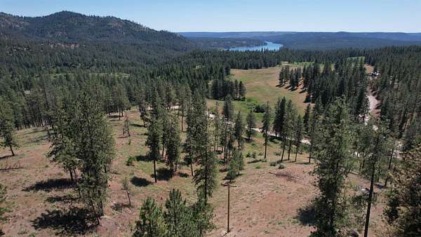 21.9 Acres of Recreational Land for Sale in Deer Park, Washington