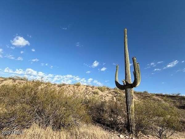 37 Acres of Land for Sale in Fort McDowell, Arizona