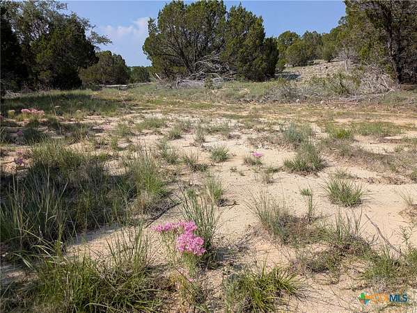 10 Acres of Recreational Land for Sale in Kempner, Texas