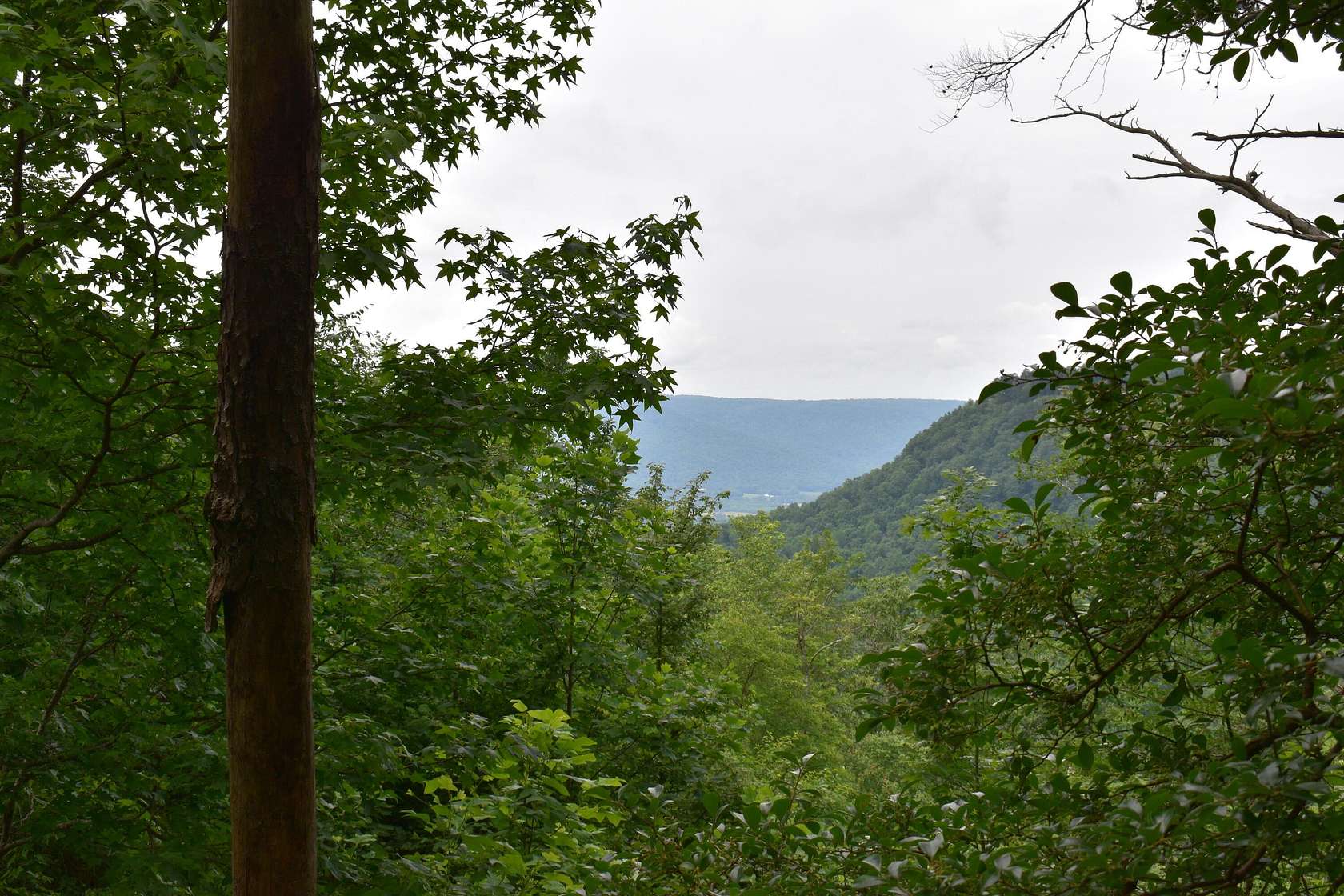 1.32 Acres of Residential Land for Sale in Jasper, Tennessee