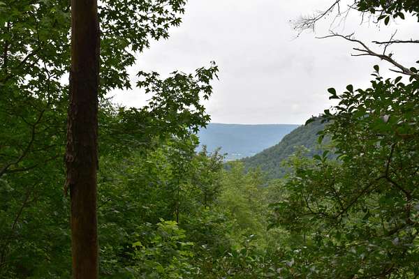 1.32 Acres of Residential Land for Sale in Jasper, Tennessee