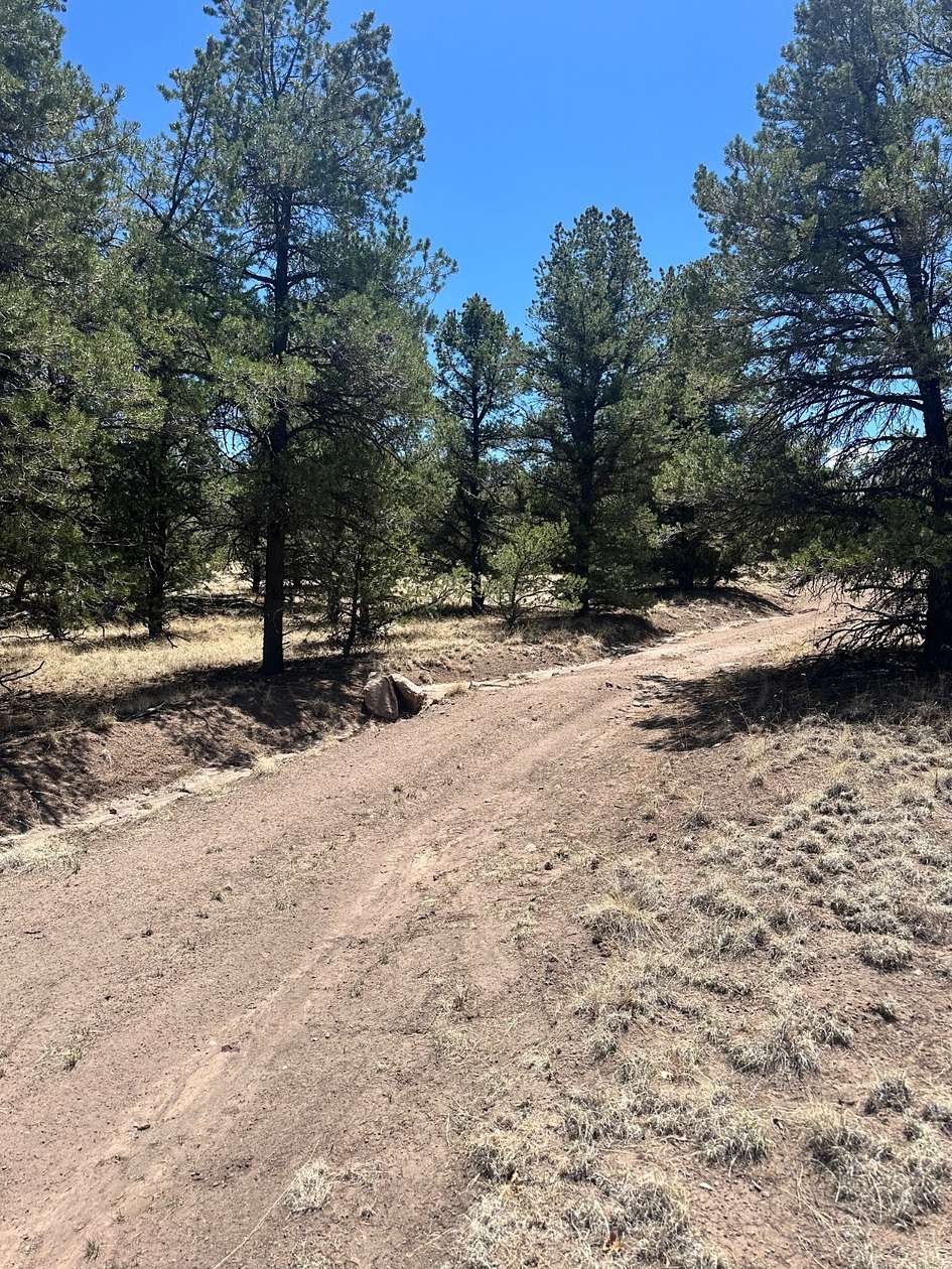 11 Acres of Land for Sale in Datil, New Mexico