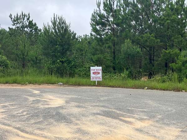 10 Acres of Recreational Land for Sale in Phenix City, Alabama