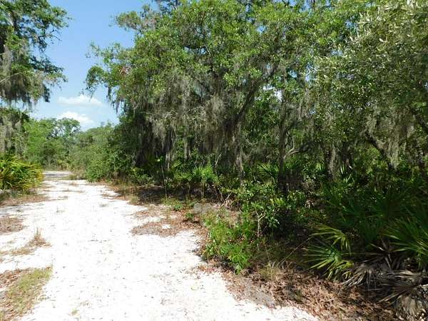 5.14 Acres of Land for Sale in Lake Wales, Florida