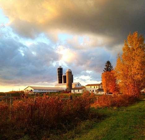 208 Acres of Agricultural Land with Home for Sale in Mexico Town, New York