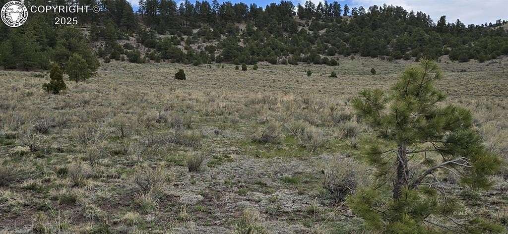 40 Acres of Land for Sale in Gardner, Colorado