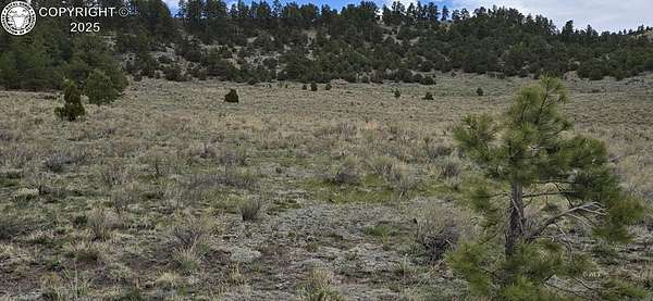 40 Acres of Land for Sale in Gardner, Colorado