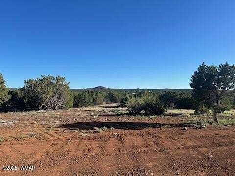 10 Acres of Residential Land for Sale in Show Low, Arizona