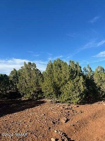 5 Acres of Residential Land for Sale in Show Low, Arizona