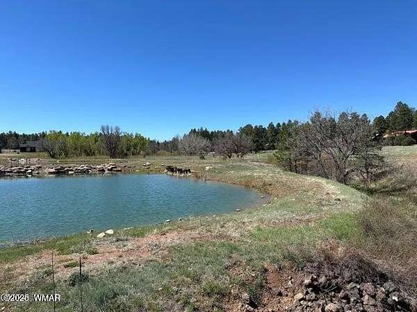 0.67 Acres of Residential Land for Sale in Show Low, Arizona