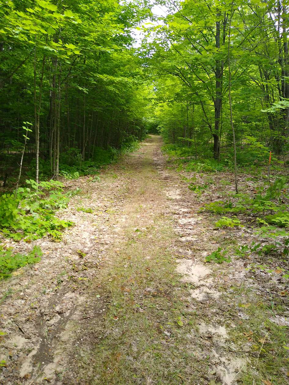 30.3 Acres of Recreational Land for Sale in Mancelona, Michigan