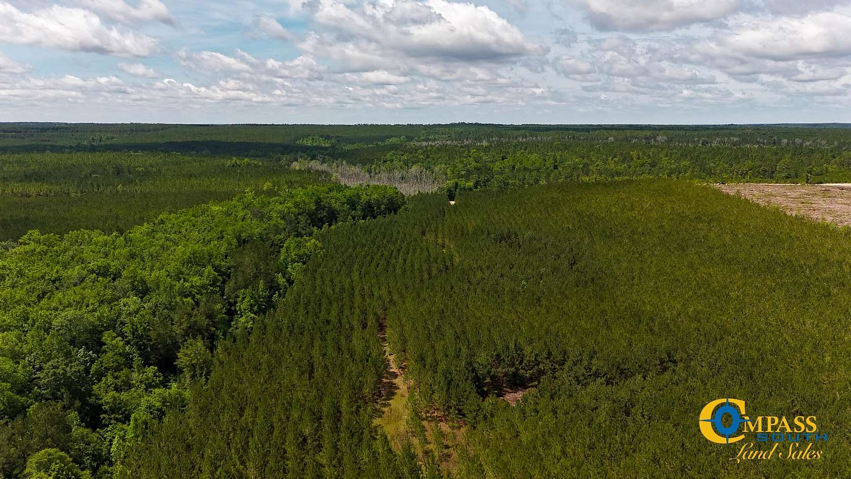 165 Acres of Recreational Land for Sale in Cassatt, South Carolina