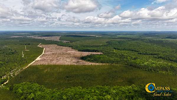 165 Acres of Recreational Land for Sale in Cassatt, South Carolina