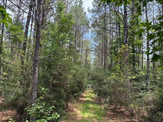 168 Acres of Recreational Land for Sale in Mauriceville, Texas