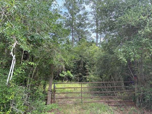 168 Acres of Recreational Land for Sale in Mauriceville, Texas