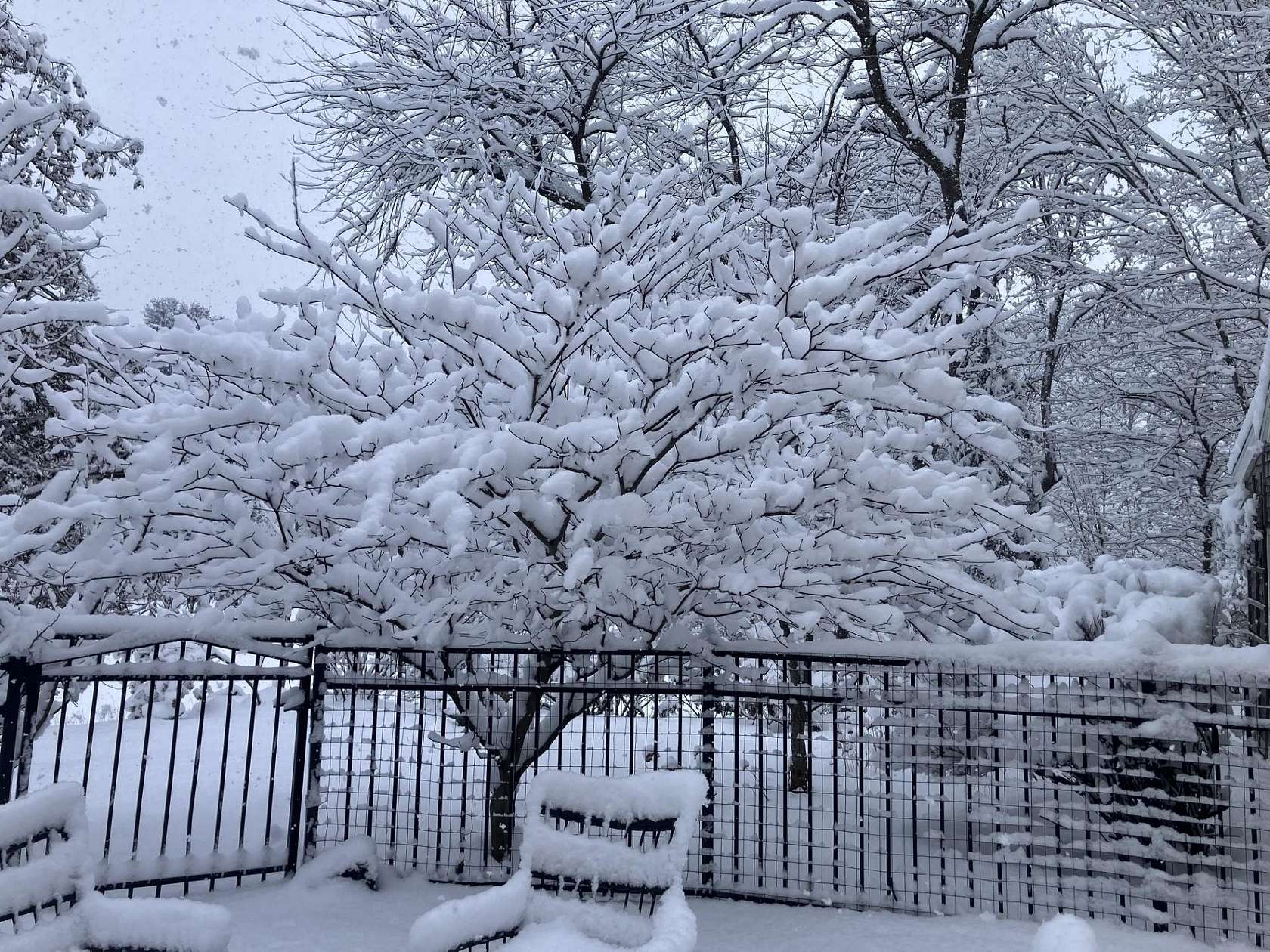 3 Acres of Land with Home for Sale in Stratham, New Hampshire