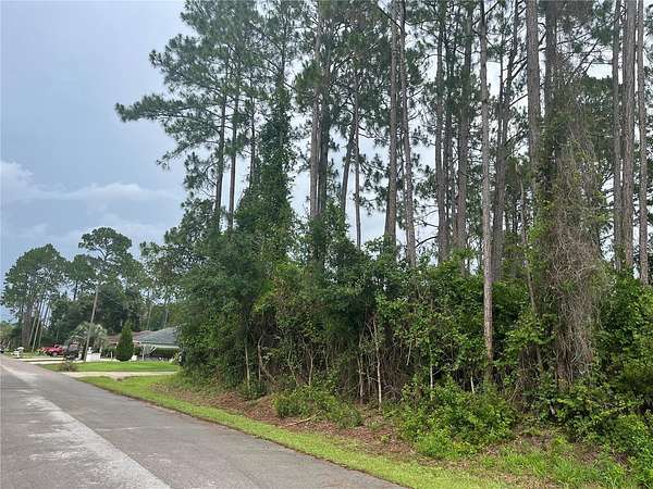 0.23 Acres of Land for Sale in Palm Coast, Florida