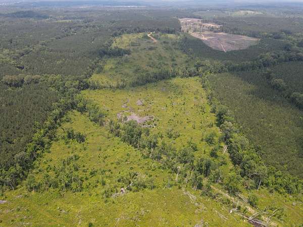70 Acres of Land for Sale in Walnut Grove, Mississippi