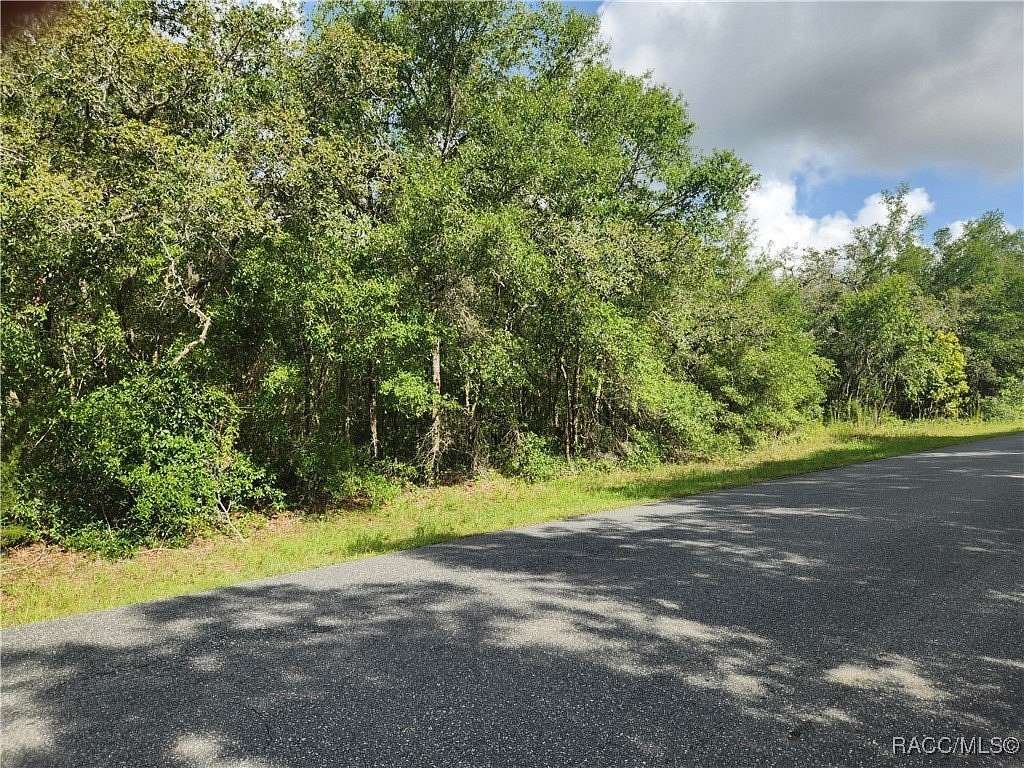1.13 Acres of Residential Land for Sale in Hernando, Florida