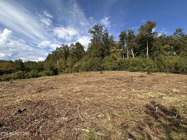 13.4 Acres of Agricultural Land for Sale in Allardt, Tennessee