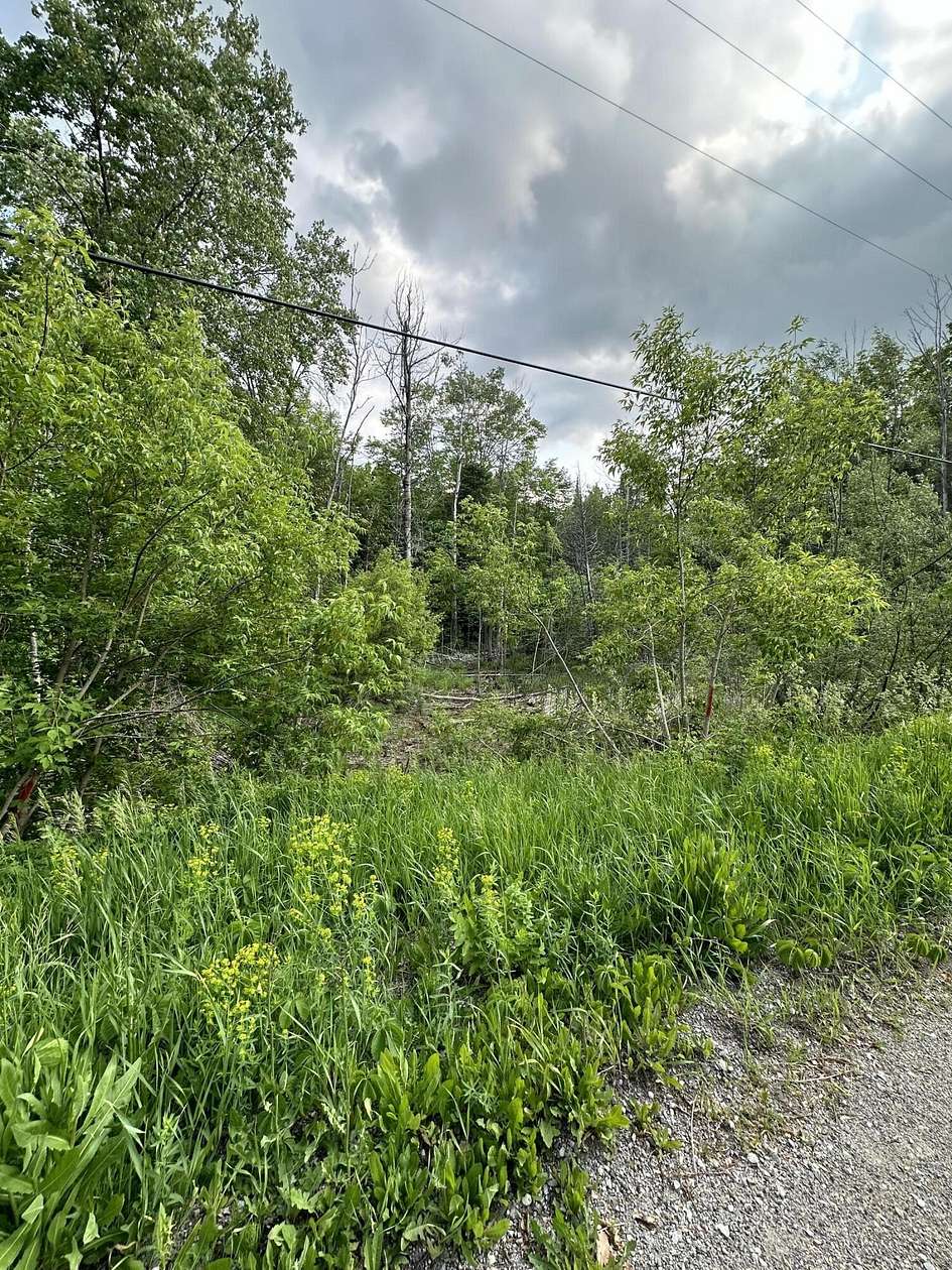 Land for Sale in Wolverine, Michigan
