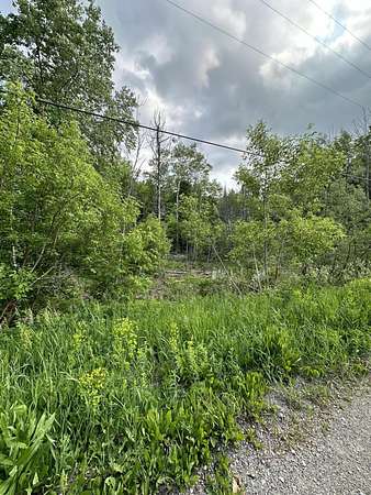 Land for Sale in Wolverine, Michigan