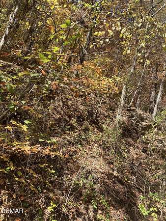 2.89 Acres of Land for Sale in Sevierville, Tennessee