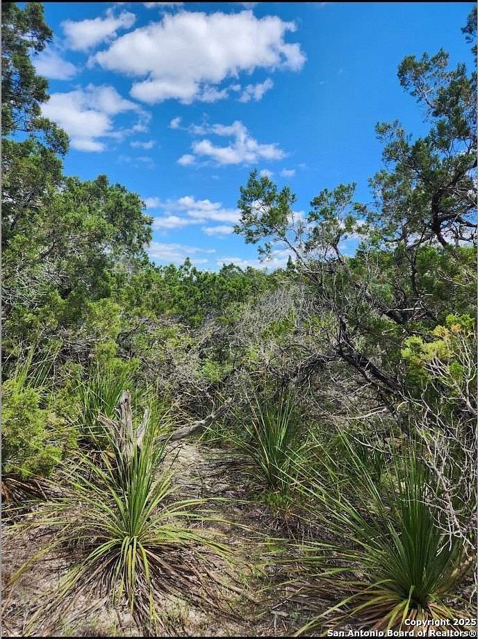 0.12 Acres of Residential Land for Sale in Canyon Lake, Texas