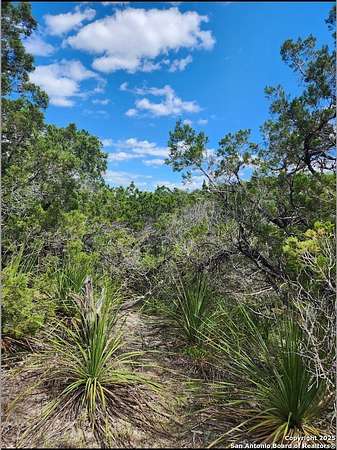 0.12 Acres of Residential Land for Sale in Canyon Lake, Texas