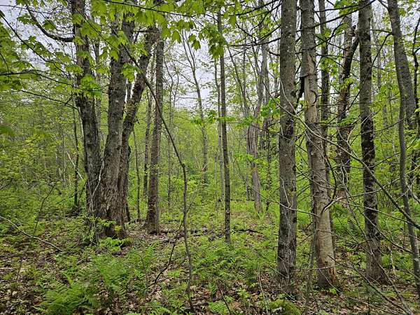 3.1 Acres of Residential Land for Sale in New Sharon, Maine