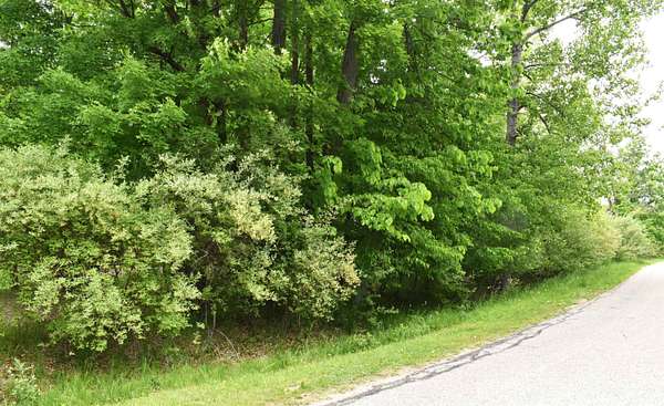 0.32 Acres of Residential Land for Sale in Gladwin, Michigan