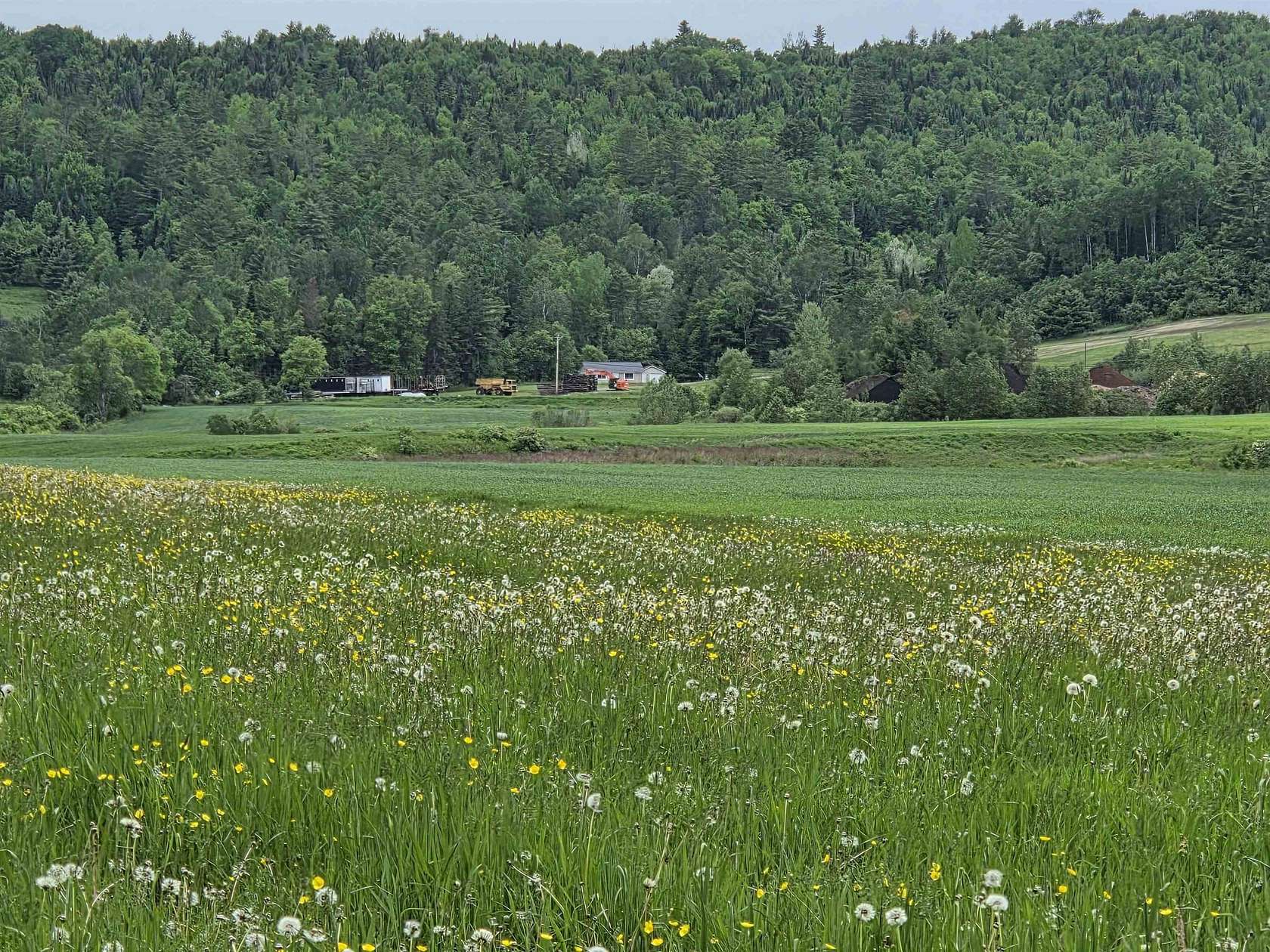 25 Acres of Agricultural & Residential Land for Sale in Concord, Vermont